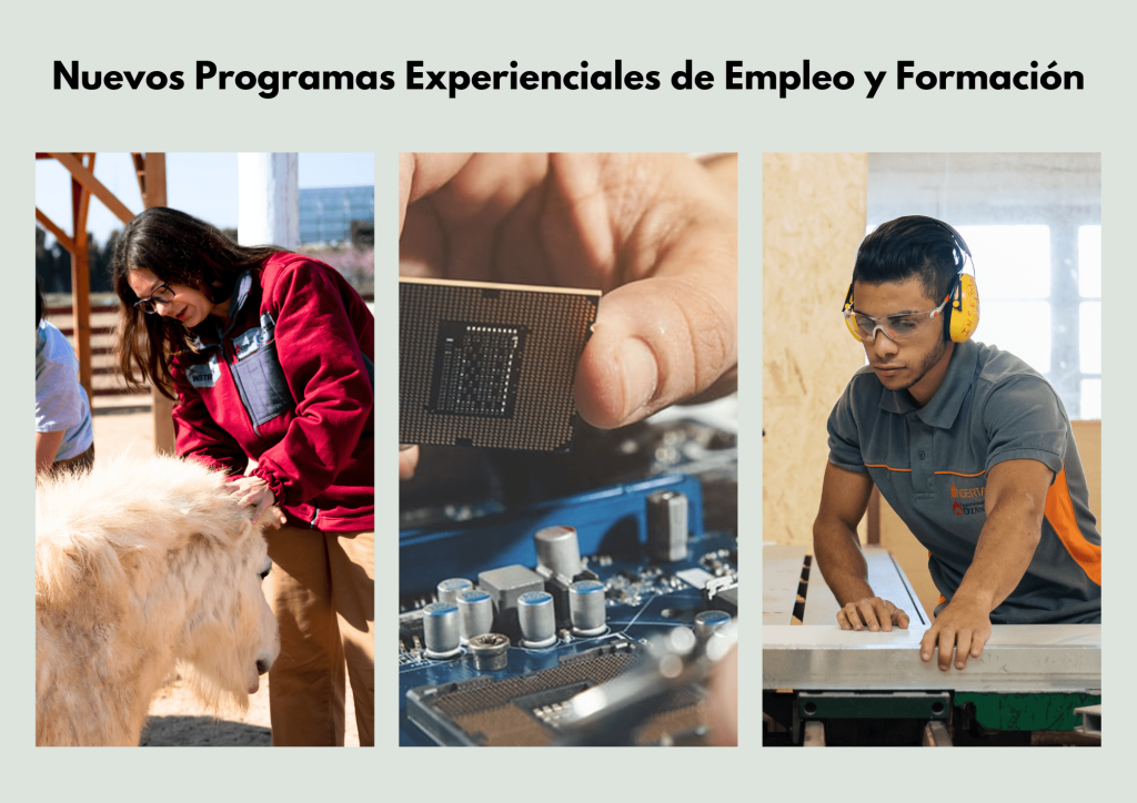 Nuevos Programas Experienciales de Empleo y Formación