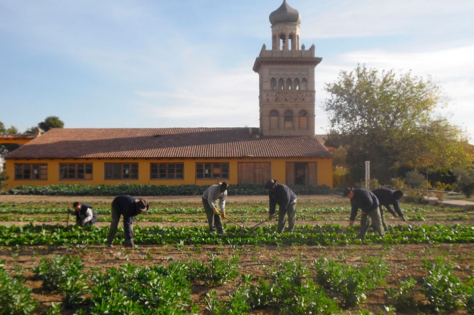 Huertos para la Inclusión Social