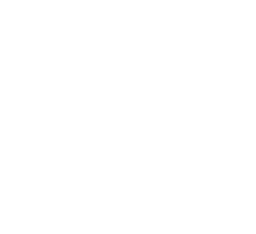 Organigrama OZANAM